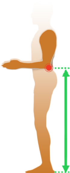 Side profile of a standing figure with a red dot marking the olecranon and a green arrow indicating floor-to-elbow height.